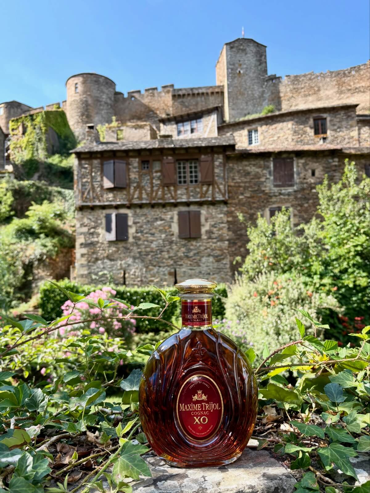 Maxime Trijol Cognac Xo