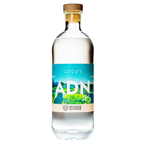 GIN N°1 ADN