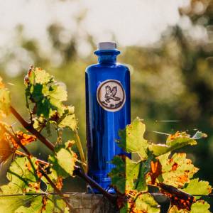 Gin Avem | Hippolais