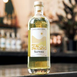 Sureau